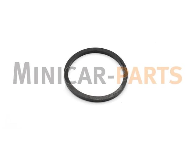 Pierścień ochronny tłoczka zacisku hamulcowego przedniego Microcar / Ligier